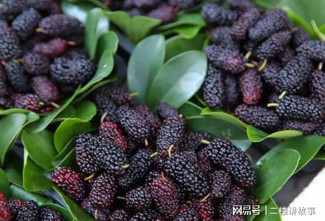 开云 开云体育官网这种茶等于“钢丝球”医生:养护肝脏避免喝“1茶叶”(图6) 开云 开云体育官网这种茶等于“钢丝球”医生:养护肝脏避免喝“1茶叶”(图6)