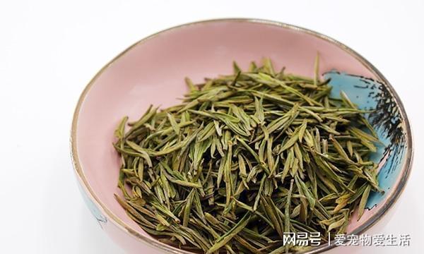 茶叶也有保质期过了保质期的茶叶能喝吗开云 开云体育官网?(图2) 茶叶也有保质期过了保质期的茶叶能喝吗开云 开云体育官网?(图2)
