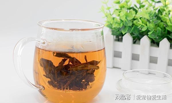 茶叶也有保质期过了保质期的茶叶能喝吗开云 开云体育官网?(图3) 茶叶也有保质期过了保质期的茶叶能喝吗开云 开云体育官网?(图3)