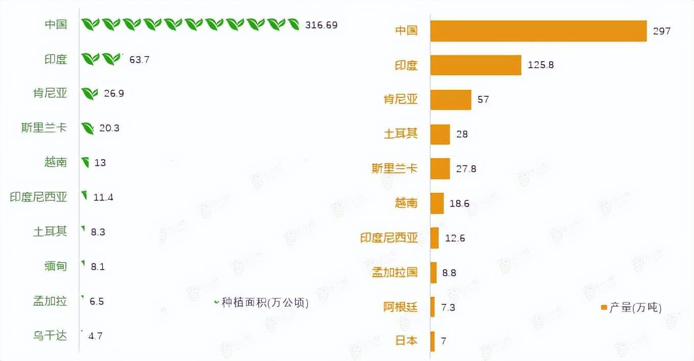 2022年中国茶产业分析简报开云 开云体育平台(图6) 2022年中国茶产业分析简报开云 开云体育平台(图6)