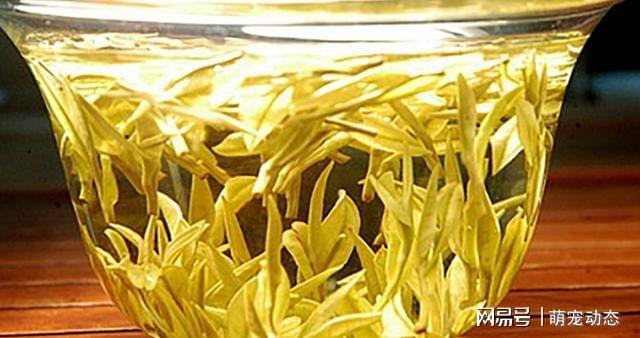 变质鹌开云 开云体育官网鹑蛋、丝瓜络、隔夜茶水没有用?错了全该拿来养花(图9) 变质鹌开云 开云体育官网鹑蛋、丝瓜络、隔夜茶水没有用?错了全该拿来养花(图9)