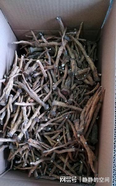 开云体育 开云平台把蒲公英“晒干”后当成茶用来泡水喝没想到对身体好处这么大(图5) 开云体育 开云平台把蒲公英“晒干”后当成茶用来泡水喝没想到对身体好处这么大(图5)