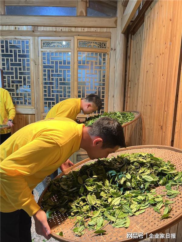 开云体育 开云平台如何抓好好茶鲜叶生产的第一关?看武夷山心头肉茶业如何做!(图2) 开云体育 开云平台如何抓好好茶鲜叶生产的第一关?看武夷山心头肉茶业如何做!(图2)