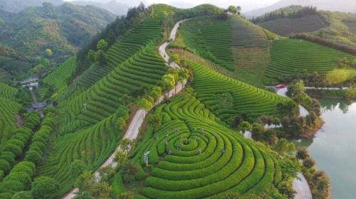 开云体育 kaiyun.com 官网入口众库团采:茶行业库存压力剧增茶叶经销商如何实现“零库存”经营(图1) 开云体育 kaiyun.com 官网入口众库团采:茶行业库存压力剧增茶叶经销商如何实现“零库存”经营(图1)