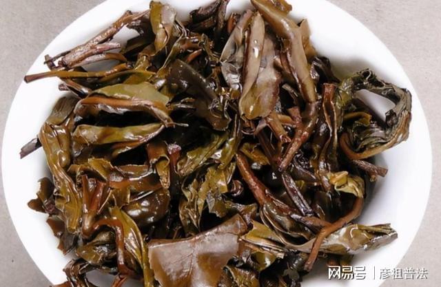 开云体育 kaiyun.com 官网入口茶叶渣、中药渣不适合养花?甭急着否认有套路!(图3) 开云体育 kaiyun.com 官网入口茶叶渣、中药渣不适合养花?甭急着否认有套路!(图3)