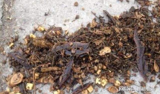 开云体育 kaiyun.com 官网入口茶叶渣、中药渣不适合养花?甭急着否认有套路!(图2) 开云体育 kaiyun.com 官网入口茶叶渣、中药渣不适合养花?甭急着否认有套路!(图2)