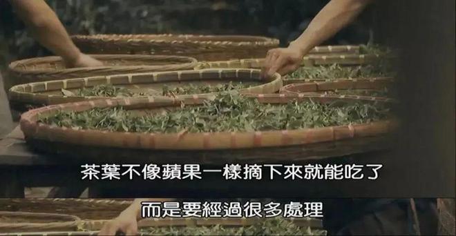 开云 开云体育“茶叶大盗”潜入中国都干了些什么?(图3) 开云 开云体育“茶叶大盗”潜入中国都干了些什么?(图3)