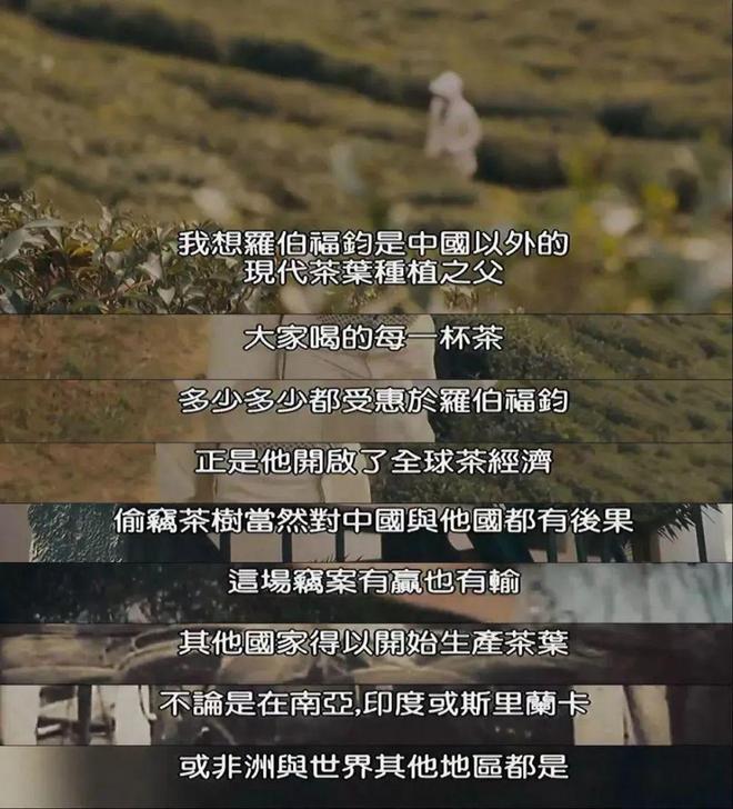 开云 开云体育“茶叶大盗”潜入中国都干了些什么?(图7) 开云 开云体育“茶叶大盗”潜入中国都干了些什么?(图7)