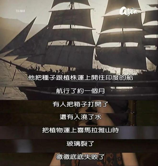 开云 开云体育“茶叶大盗”潜入中国都干了些什么?(图4) 开云 开云体育“茶叶大盗”潜入中国都干了些什么?(图4)