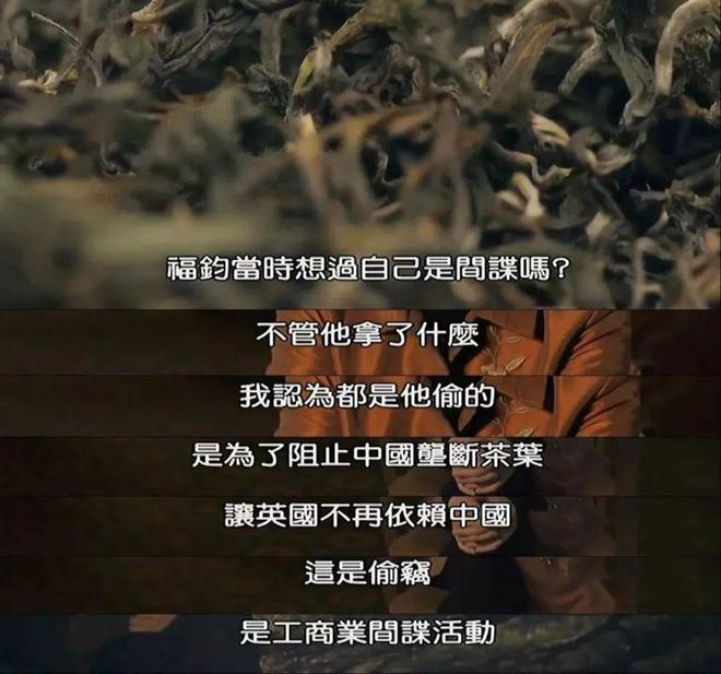 开云 开云体育“茶叶大盗”潜入中国都干了些什么?(图8) 开云 开云体育“茶叶大盗”潜入中国都干了些什么?(图8)