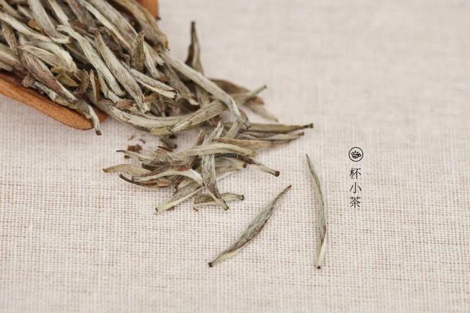 看图开云 开云体育官网猜茶你能认出几个?(图1) 看图开云 开云体育官网猜茶你能认出几个?(图1)