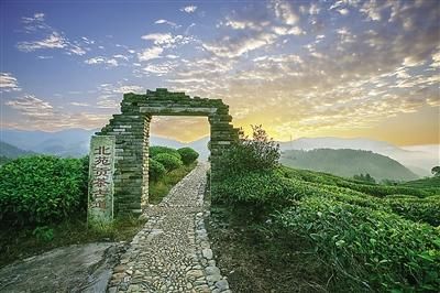 Kaiyun 开云小桥茶业:奋楫扬帆正当时(图1) Kaiyun 开云小桥茶业:奋楫扬帆正当时(图1)