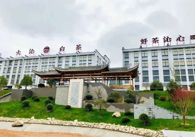 “好茶不贵回归本味”——福建省大沁茶业有限公司开云体育 开云平台(图1) “好茶不贵回归本味”——福建省大沁茶业有限公司开云体育 开云平台(图1)