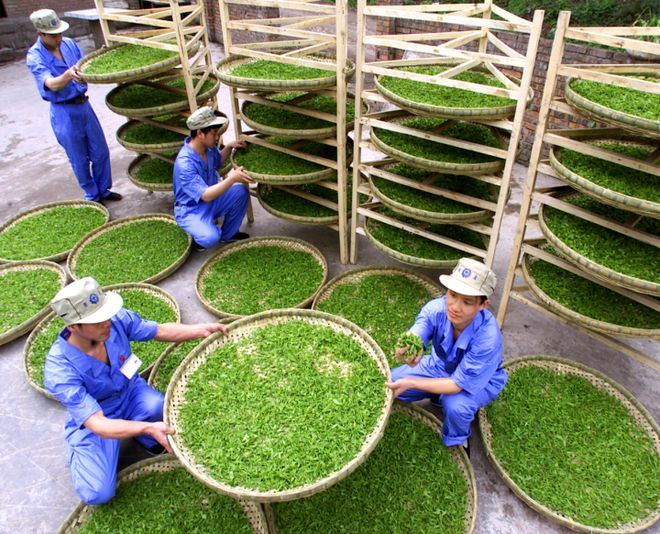 开云 开云体育聚焦拼经济 川茶已成千亿产业 品牌价值大增(图3) 开云 开云体育聚焦拼经济 川茶已成千亿产业 品牌价值大增(图3)