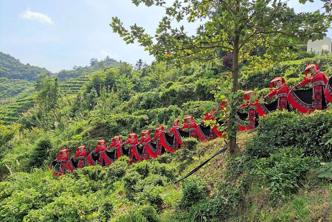 20Kaiyun 开云22年岳阳茶业十件大事(图8) 20Kaiyun 开云22年岳阳茶业十件大事(图8)