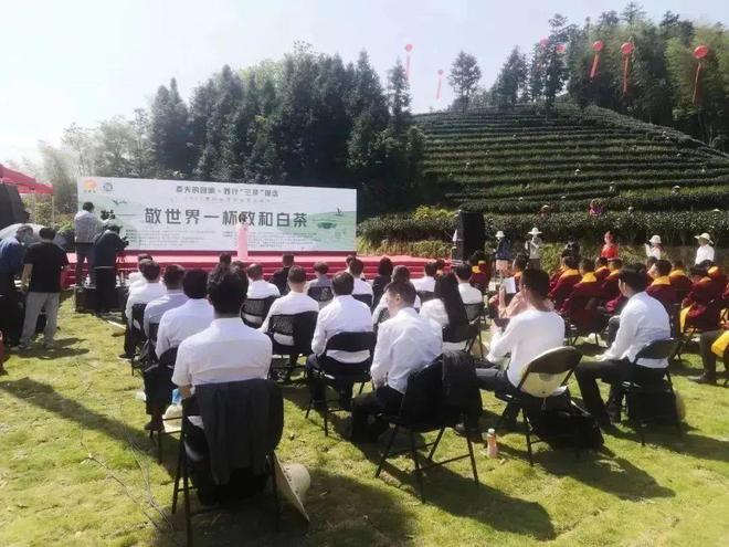 Kaiyun 开云100个精彩瞬间告诉你2022年“说茶”在干什么?(图5) Kaiyun 开云100个精彩瞬间告诉你2022年“说茶”在干什么?(图5)