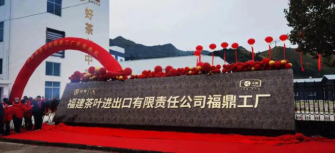 Kaiyun 开云100个精彩瞬间告诉你2022年“说茶”在干什么?(图32) Kaiyun 开云100个精彩瞬间告诉你2022年“说茶”在干什么?(图32)
