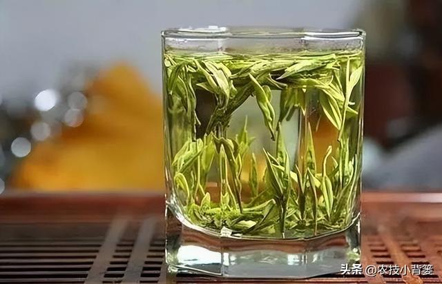 开云 开云体育应季喝茶很重要不能乱喝若不差钱可以多喝这3款早知受益多(图6) 开云 开云体育应季喝茶很重要不能乱喝若不差钱可以多喝这3款早知受益多(图6)