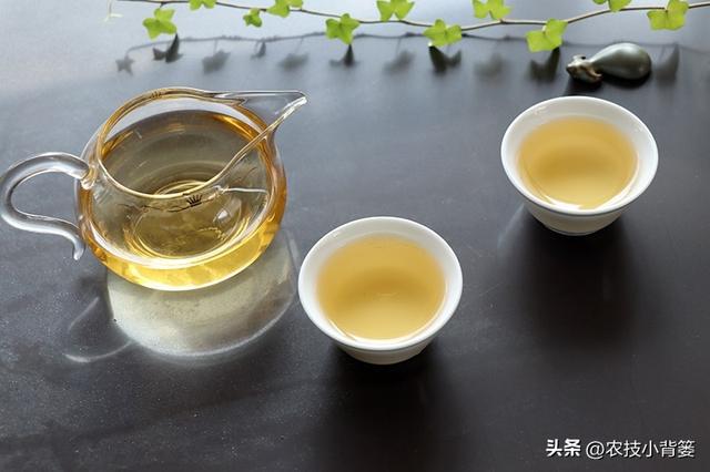 开云 开云体育应季喝茶很重要不能乱喝若不差钱可以多喝这3款早知受益多(图2) 开云 开云体育应季喝茶很重要不能乱喝若不差钱可以多喝这3款早知受益多(图2)