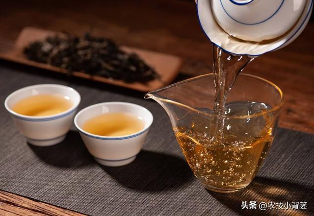 开云 开云体育应季喝茶很重要不能乱喝若不差钱可以多喝这3款早知受益多(图3) 开云 开云体育应季喝茶很重要不能乱喝若不差钱可以多喝这3款早知受益多(图3)