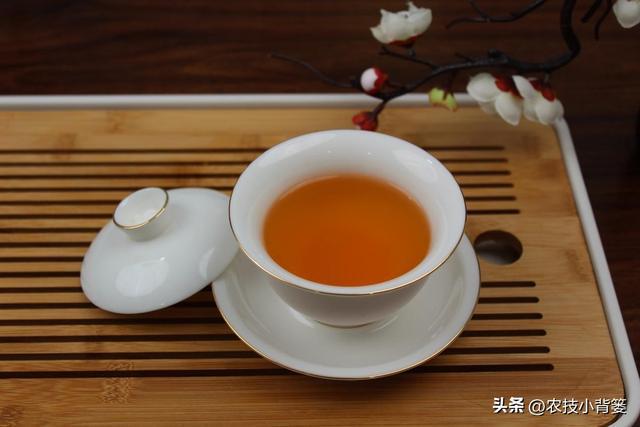 开云 开云体育应季喝茶很重要不能乱喝若不差钱可以多喝这3款早知受益多(图8) 开云 开云体育应季喝茶很重要不能乱喝若不差钱可以多喝这3款早知受益多(图8)