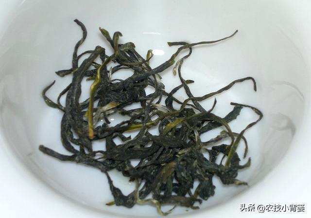 开云 开云体育应季喝茶很重要不能乱喝若不差钱可以多喝这3款早知受益多(图5) 开云 开云体育应季喝茶很重要不能乱喝若不差钱可以多喝这3款早知受益多(图5)