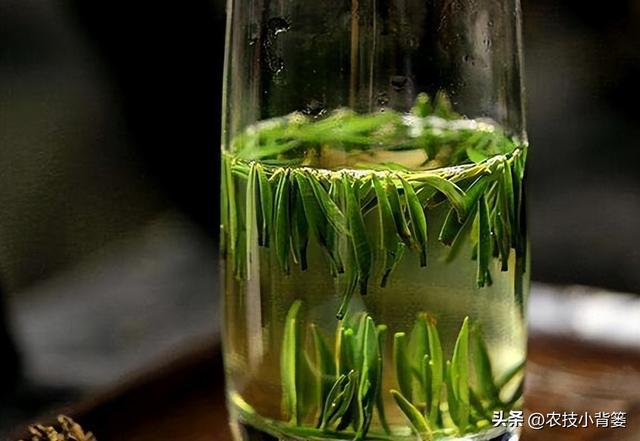 开云 开云体育应季喝茶很重要不能乱喝若不差钱可以多喝这3款早知受益多(图14) 开云 开云体育应季喝茶很重要不能乱喝若不差钱可以多喝这3款早知受益多(图14)