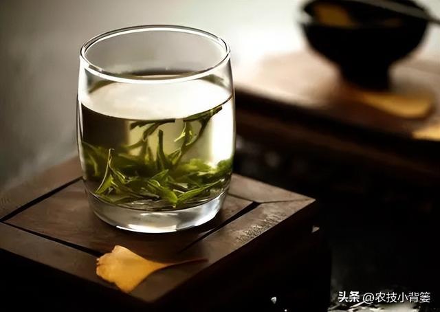 开云 开云体育应季喝茶很重要不能乱喝若不差钱可以多喝这3款早知受益多(图12) 开云 开云体育应季喝茶很重要不能乱喝若不差钱可以多喝这3款早知受益多(图12)
