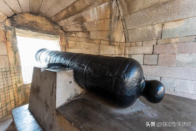 一片动摇国本并引发两场战争的树叶开云体育 开云官网(图3) 一片动摇国本并引发两场战争的树叶开云体育 开云官网(图3)
