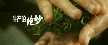 开云体育 开云平台畅谈|这就是中国茶(图2) 开云体育 开云平台畅谈|这就是中国茶(图2)