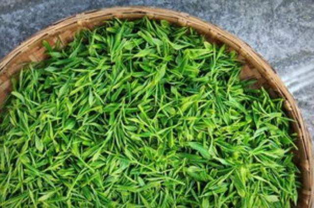 论唐代茶业政策对其经济和文化发展的影响开云体育 kaiyun.com 官网入口(图4) 论唐代茶业政策对其经济和文化发展的影响开云体育 kaiyun.com 官网入口(图4)
