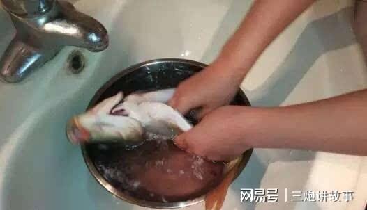 收集西开云体育 kaiyun.com 官网入口红柿蛋壳茶叶水自制磷钾肥花草枝繁叶茂开花艳(图4) 收集西开云体育 kaiyun.com 官网入口红柿蛋壳茶叶水自制磷钾肥花草枝繁叶茂开花艳(图4)
