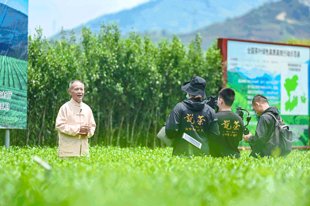 开云 开云体育APP十一载风雨兼程新一年