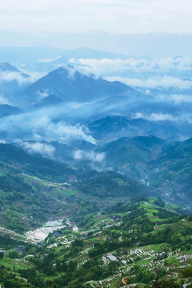 在中国黑茶第一大省茶叶开云 开云体育为啥论柱卖?(图30) 在中国黑茶第一大省茶叶开云 开云体育为啥论柱卖?(图30)