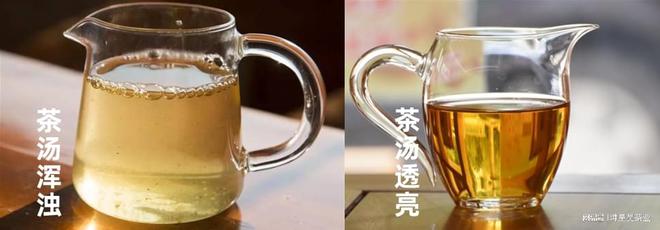 开云 开云体育平台茶知识丨茶叶上白色的东西是发霉了吗?如何辨别茶叶是否发霉?(图2) 开云 开云体育平台茶知识丨茶叶上白色的东西是发霉了吗?如何辨别茶叶是否发霉?(图2)