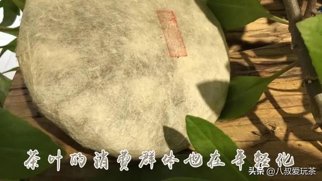 开云 开云体育APP展望:茶叶的“2023”将会发生些什么?(图4) 开云 开云体育APP展望:茶叶的“2023”将会发生些什么?(图4)