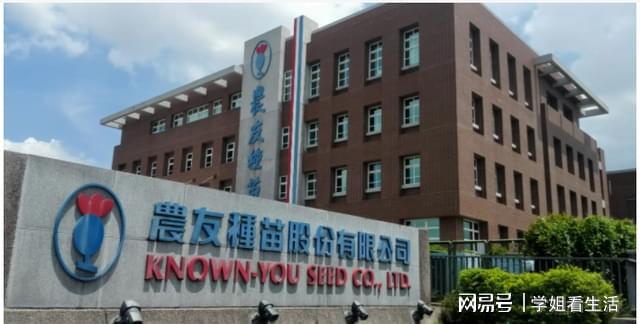 开云 开云体育平台吃不起茶叶蛋?台湾综艺雷人语录频出真的是太幽默了(图6) 开云 开云体育平台吃不起茶叶蛋?台湾综艺雷人语录频出真的是太幽默了(图6)