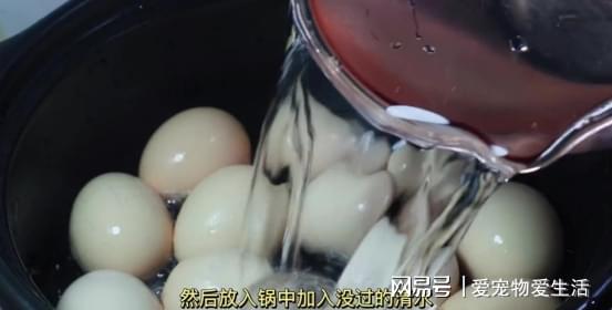 开云 开云体育教你煮五香茶叶蛋秘诀越简单越讲究这大理石花纹真漂亮(图4) 开云 开云体育教你煮五香茶叶蛋秘诀越简单越讲究这大理石花纹真漂亮(图4)