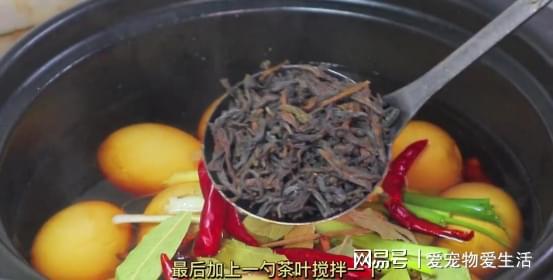 开云 开云体育教你煮五香茶叶蛋秘诀越简单越讲究这大理石花纹真漂亮(图6) 开云 开云体育教你煮五香茶叶蛋秘诀越简单越讲究这大理石花纹真漂亮(图6)