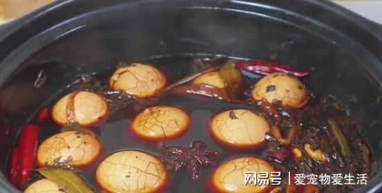 开云 开云体育教你煮五香茶叶蛋秘诀越简单越讲究这大理石花纹真漂亮(图7) 开云 开云体育教你煮五香茶叶蛋秘诀越简单越讲究这大理石花纹真漂亮(图7)