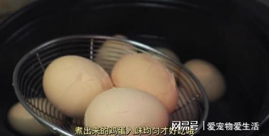 开云 开云体育教你煮五香茶叶蛋秘诀越简单越讲究这大理石花纹真漂亮(图5) 开云 开云体育教你煮五香茶叶蛋秘诀越简单越讲究这大理石花纹真漂亮(图5)