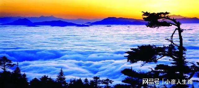 开云体育 开云平台四川一5A景区门票售250元却依旧亏损现如今仅靠卖茶叶来补贴(图7) 开云体育 开云平台四川一5A景区门票售250元却依旧亏损现如今仅靠卖茶叶来补贴(图7)