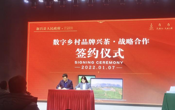 开云 开云体育全国首个茶业“共富计划”来了(图3) 开云 开云体育全国首个茶业“共富计划”来了(图3)