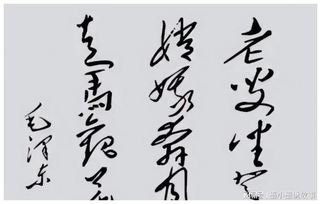 1972年尼克松不满主席赠送的4两茶叶周总理怎样轻Kaiyun 开云松化解的?(图2) 1972年尼克松不满主席赠送的4两茶叶周总理怎样轻Kaiyun 开云松化解的?(图2)