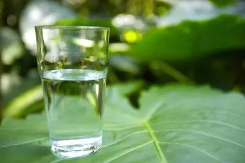 隔夜水、开云体育 kaiyun.com 官网入口隔夜菜、肉、茶哪种不能吃?为了健康不妨看看(图2) 隔夜水、开云体育 kaiyun.com 官网入口隔夜菜、肉、茶哪种不能吃?为了健康不妨看看(图2)