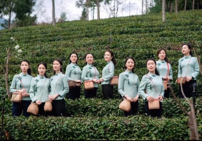 开云体育 开云官网非洲到底为什么穷?让种茶大国肯尼亚告诉你什么叫“恶性循环”(图8) 开云体育 开云官网非洲到底为什么穷?让种茶大国肯尼亚告诉你什么叫“恶性循环”(图8)