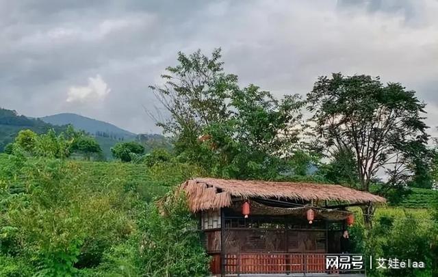 开云 开云体育官网号称“云南第一村”!村民靠种这个生活如今家家年收入近百万(图4) 开云 开云体育官网号称“云南第一村”!村民靠种这个生活如今家家年收入近百万(图4)