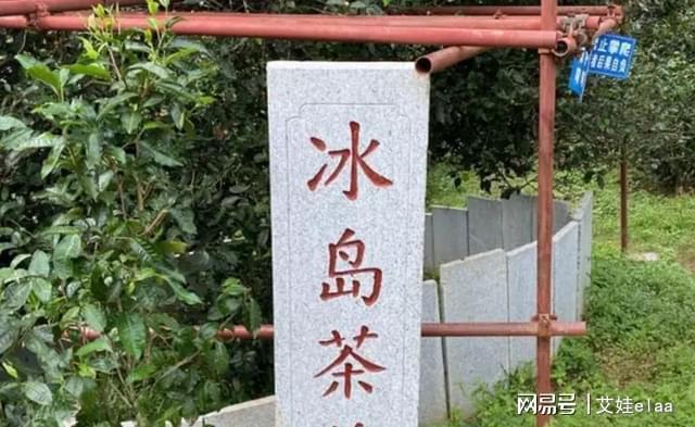 开云 开云体育官网号称“云南第一村”!村民靠种这个生活如今家家年收入近百万(图5) 开云 开云体育官网号称“云南第一村”!村民靠种这个生活如今家家年收入近百万(图5)
