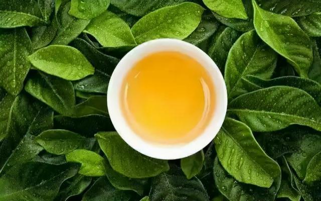 开云 开云体育官网“隔夜茶毒如蛇”?不敢喝隔夜茶的人建议看一下涨知识(图16) 开云 开云体育官网“隔夜茶毒如蛇”?不敢喝隔夜茶的人建议看一下涨知识(图16)