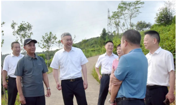 开云 开云体育福建江南茶业有限公司(图2) 开云 开云体育福建江南茶业有限公司(图2)